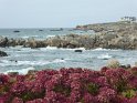 2017-09-30 13-58-50 Circuit Batz sur mer et Le Croisic MBo